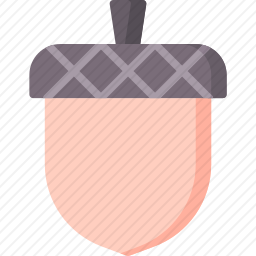 橡子