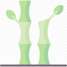 <em>竹</em>