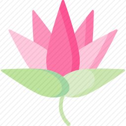 莲花