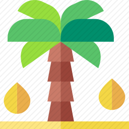 棕榈油