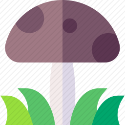 蘑菇