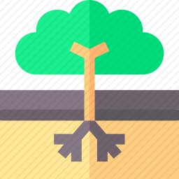 <em>植物</em>