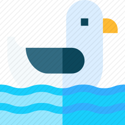海鸥