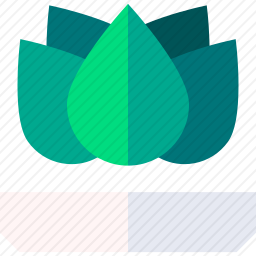 <em>莲花</em>