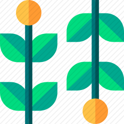 草本植物