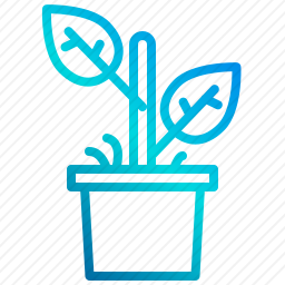 盆栽植物