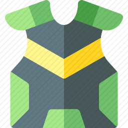 <em>肩垫</em>