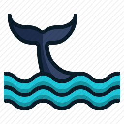 海豚