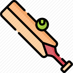 <em>板球</em>