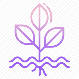 <em>植物</em>