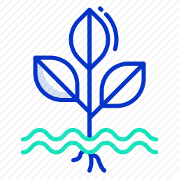 <em>植物</em>