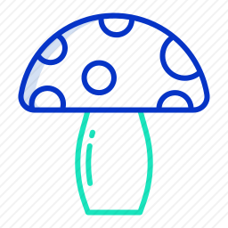 蘑菇
