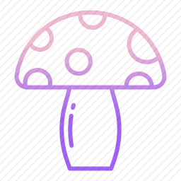 蘑菇