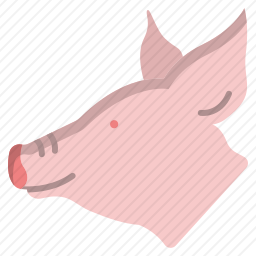 <em>猪</em>