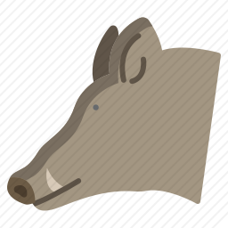 <em>野猪</em>