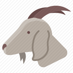 山羊