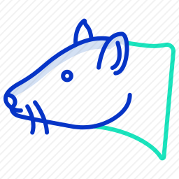 老鼠