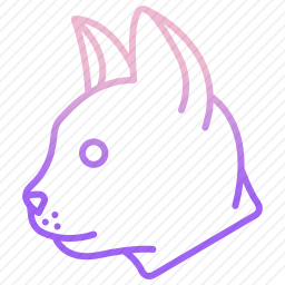 <em>猫</em>