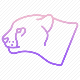 猎豹