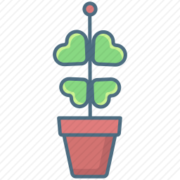 植物