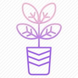 <em>植物</em>