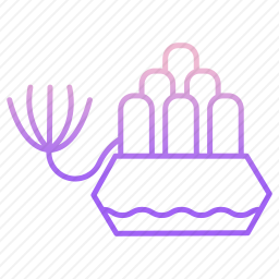 <em>植物</em>