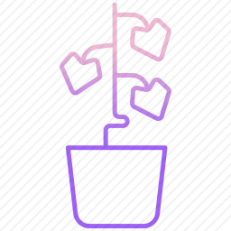 <em>植物</em>