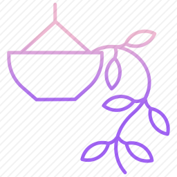 <em>植物</em>