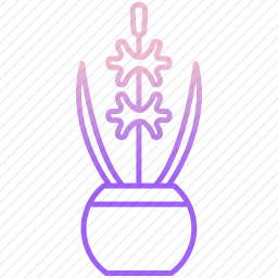 <em>植物</em>
