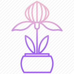 <em>植物</em>