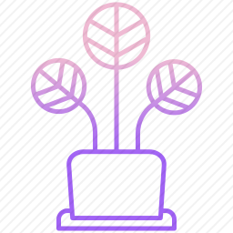 <em>植物</em>