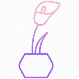 <em>植物</em>