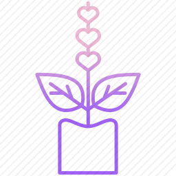<em>植物</em>