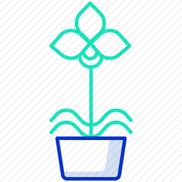 <em>植物</em>