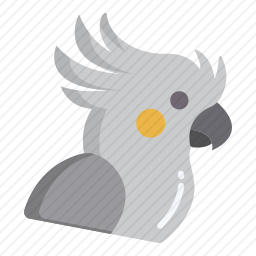 <em>鹦鹉</em>