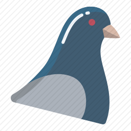 鸽子