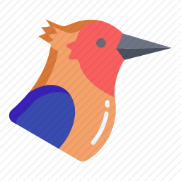 鸟