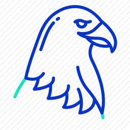 鹰