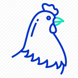 母鸡