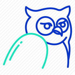 猫头鹰