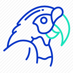 鹦鹉