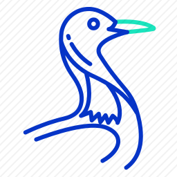 鸟