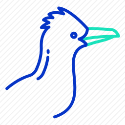走鹃