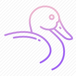 鸭子