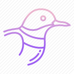 鸟