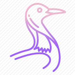 鸟