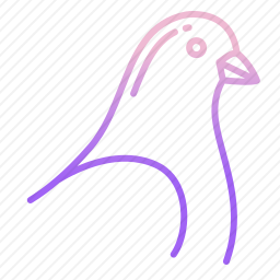 鸽子