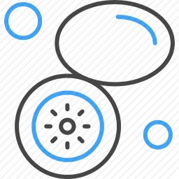 <em>柠檬</em>