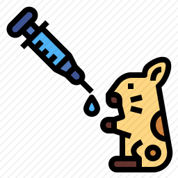 仓鼠
