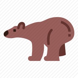 熊